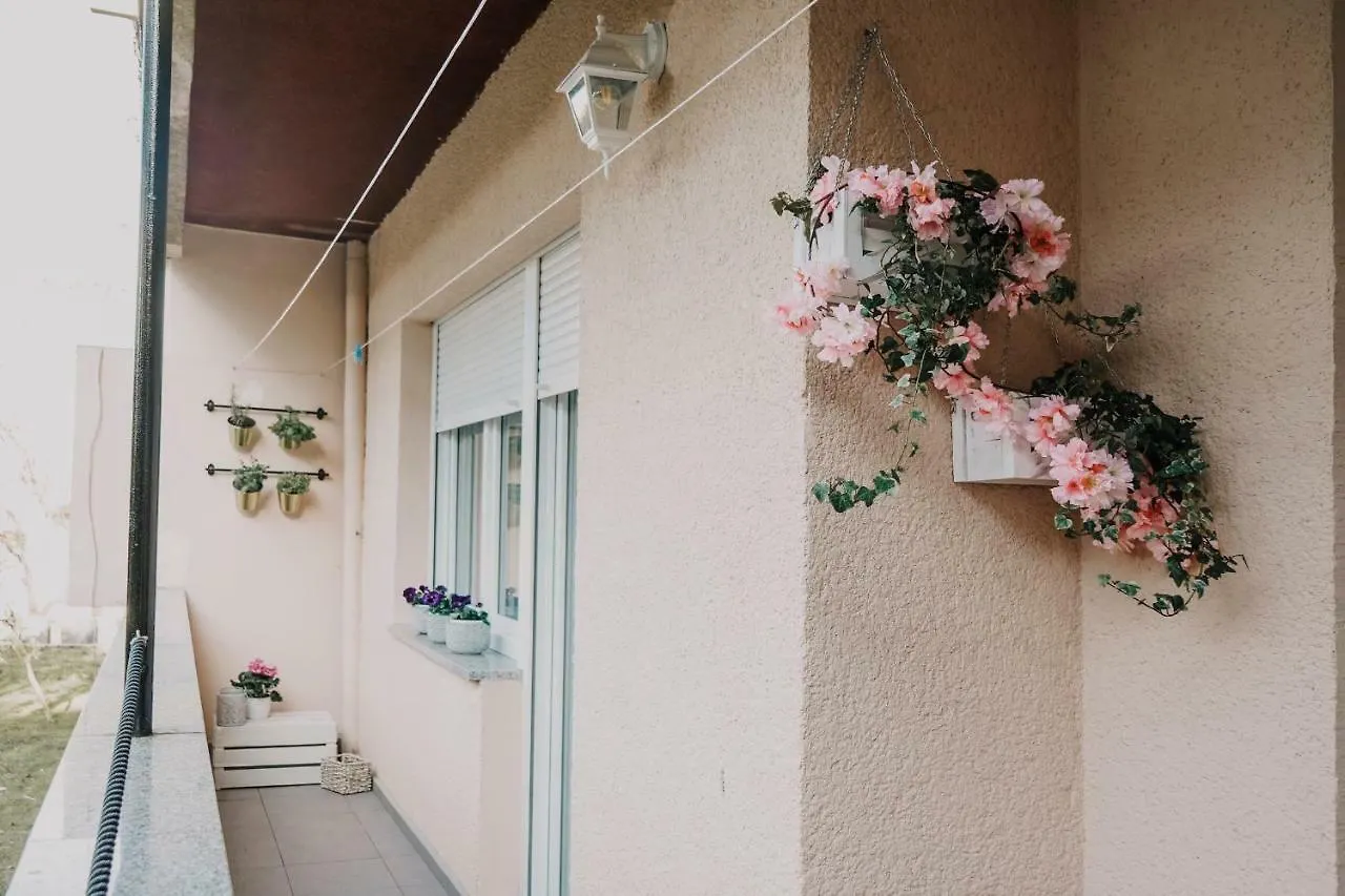 Apartman Bacchus بولا شقة